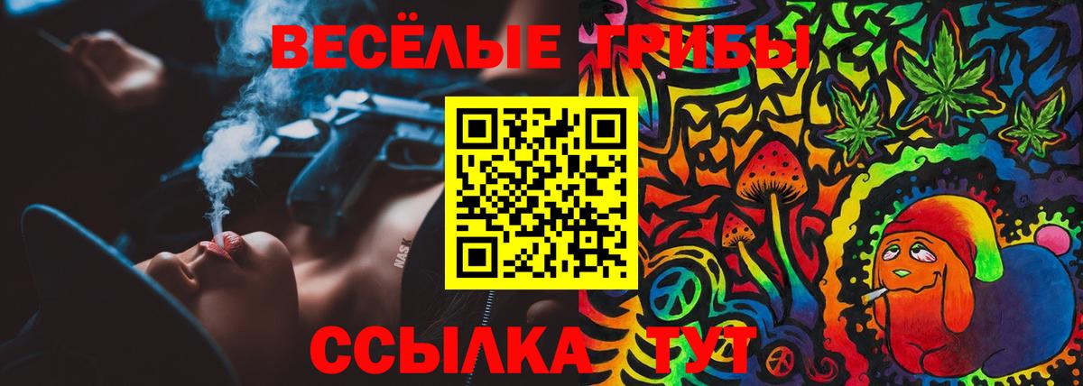 Галлюциногенные грибы Magic Shrooms  Вход с VPN  Обь  Галлюциногенные грибы Psilocybine cubensis 